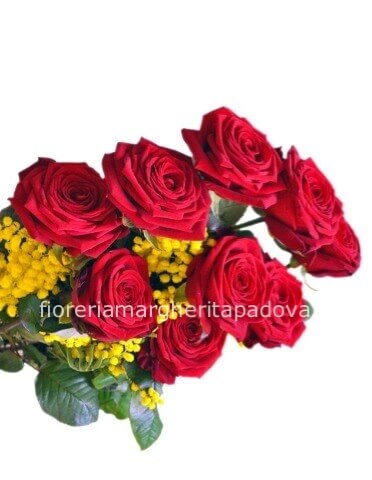 3 Rose rosse a stelo lungo cm 80/90 con mimosa e verdi